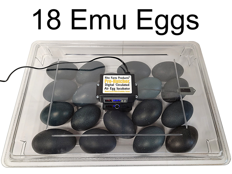 Load image into Gallery viewer, Rite Farm Products PRO Hatcher Incubator for Egg Tray Transfer from Cabinet Incubators
