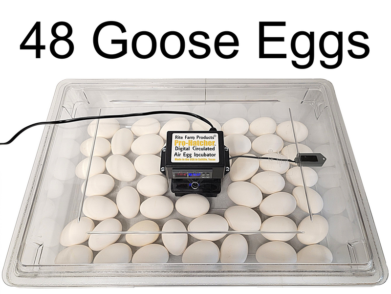 Load image into Gallery viewer, Rite Farm Products PRO Hatcher Incubator for Egg Tray Transfer from Cabinet Incubators
