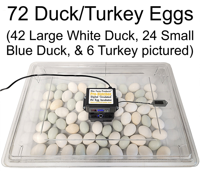 Load image into Gallery viewer, Rite Farm Products PRO Hatcher Incubator for Egg Tray Transfer from Cabinet Incubators

