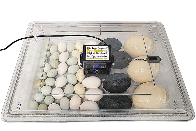 Load image into Gallery viewer, Rite Farm Products PRO Hatcher Incubator for Egg Tray Transfer from Cabinet Incubators
