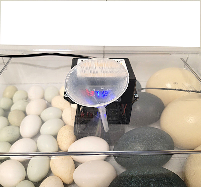 Load image into Gallery viewer, Rite Farm Products PRO Hatcher Incubator for Egg Tray Transfer from Cabinet Incubators
