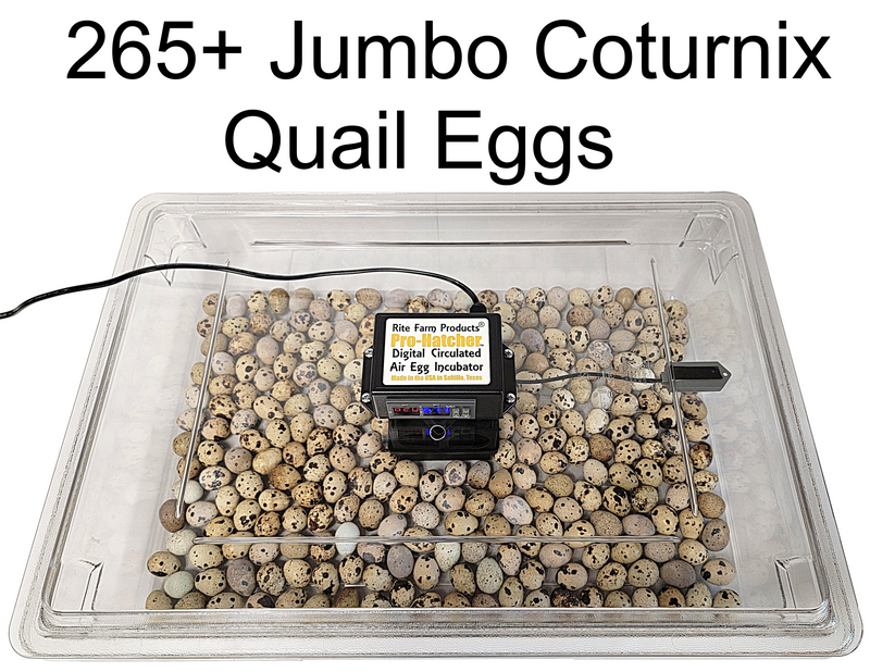Load image into Gallery viewer, Rite Farm Products PRO Hatcher Incubator for Egg Tray Transfer from Cabinet Incubators
