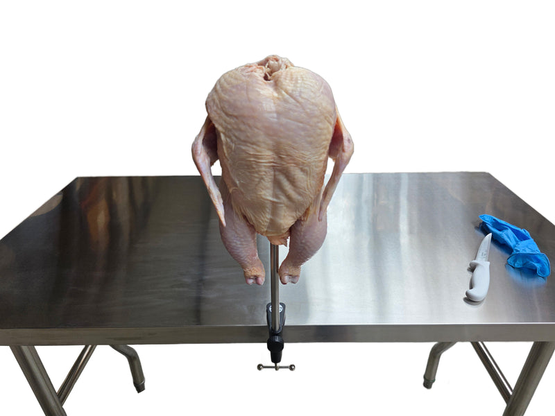 Load image into Gallery viewer, Chicken Cut Up Cone Poultry Deboning Parting Piecing Out Stand Holder
