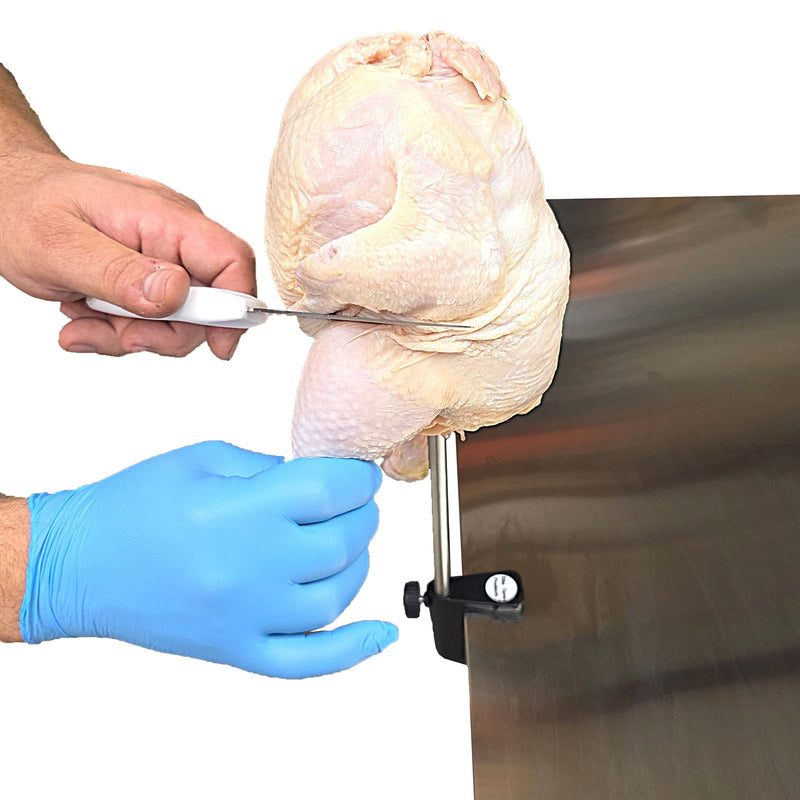 Load image into Gallery viewer, Chicken Cut Up Cone Poultry Deboning Parting Piecing Out Stand Holder
