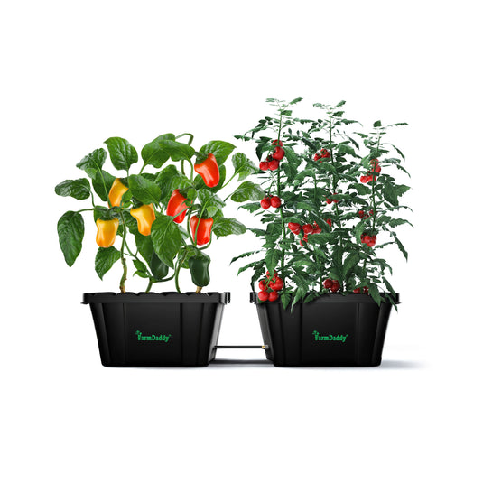 Product image of FarmDaddy® Farmdaddy 2-Planter Self Watering Garden System, front view