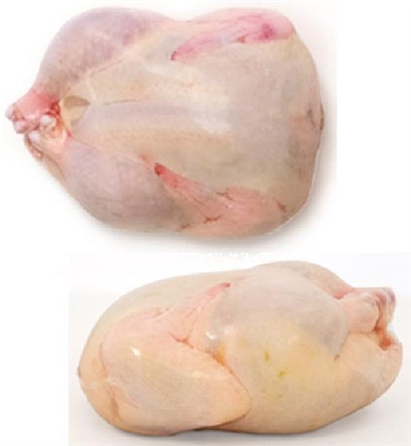 10x16 poultry shrink bags for chicken freezer storage