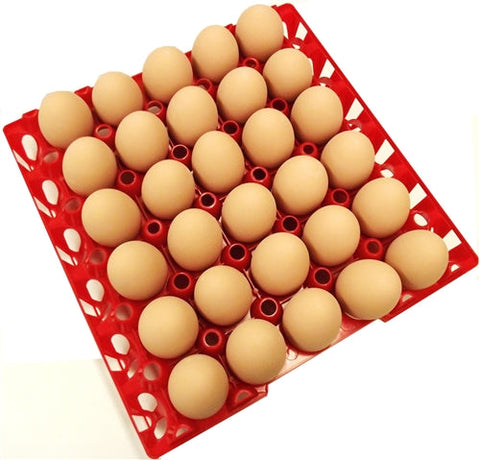 Rite Farm Products 30 Chicken Egg Poly Trays, additional product view 2