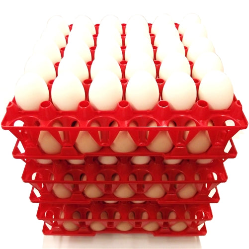Rite Farm Products 30 Chicken Egg Poly Trays
