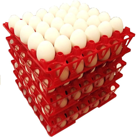 Rite Farm 30-count chicken egg poly tray