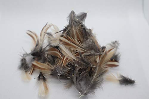 Load image into Gallery viewer, Rooster Feathers for Fly-Fishing or Crafts from Quail
