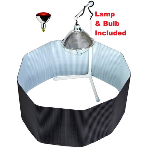 Deluxe Chick Brooder Kit With Corral, Lamp Stand, Lamp, & Bulb, additional product view 2