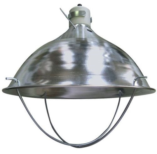 Deluxe Chick Brooder Kit With Corral, Lamp Stand, Lamp, & Bulb