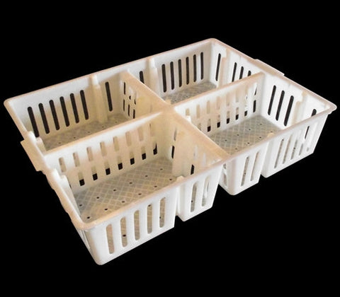 Rite Farm chick sorting box poult basket