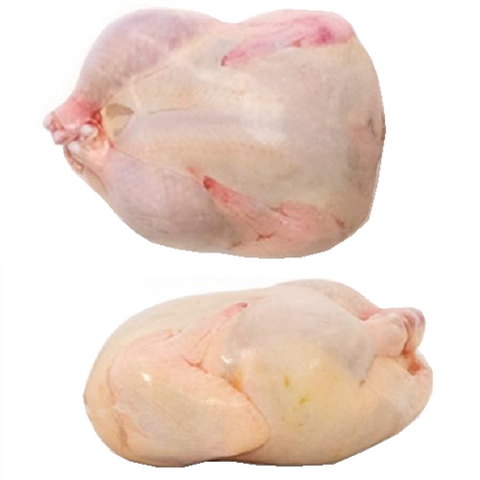 5x9 quail and grouse shrink bags, 12-pack