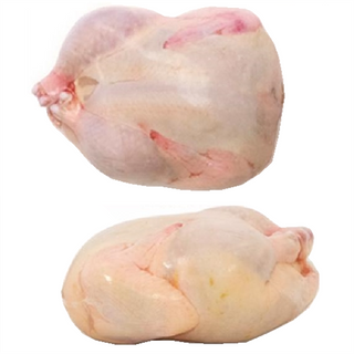 16x25 turkey shrink bags for poultry freezer storage