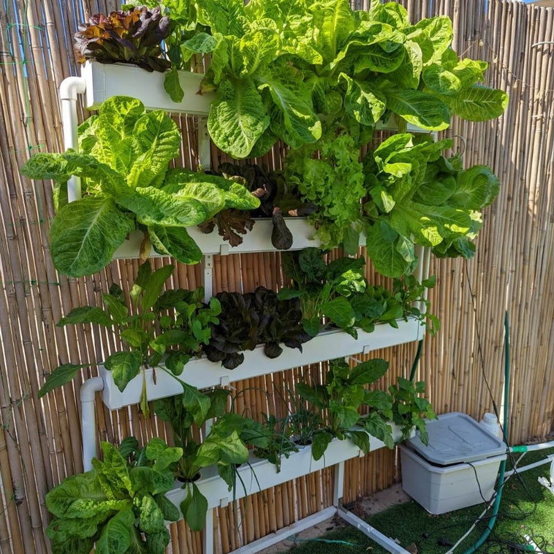 Load image into Gallery viewer, Wally 32 – Hydroponic Vertical System for Growing 32 Greens and Fruits
