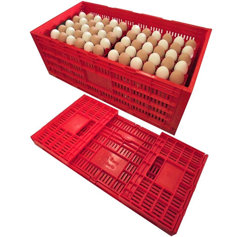 Rite Farm chicken egg transport crate