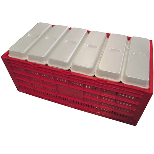 Load image into Gallery viewer, Rite Farm Products Chicken Egg Transport Crate
