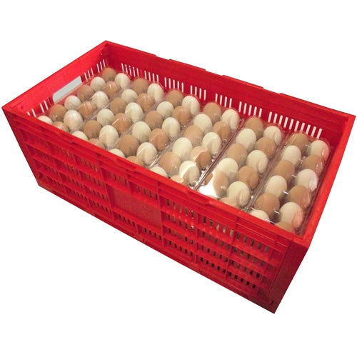 Load image into Gallery viewer, Rite Farm Products Chicken Egg Transport Crate
