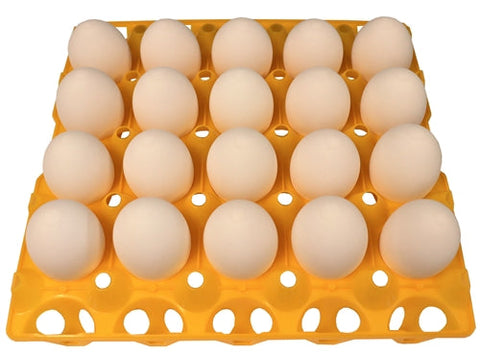 Rite Farm 20 egg capacity duck, goose, turkey, and peafowl tray