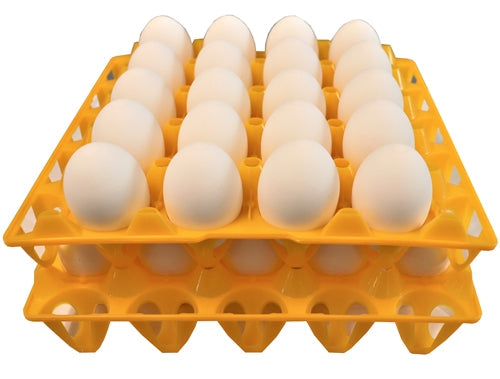 Load image into Gallery viewer, Rite Farm Products 20 Egg Capacity Duck, Goose, Turkey, &amp; Peafowl Size Trays
