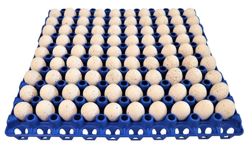 90 egg capacity quail and small bird trays