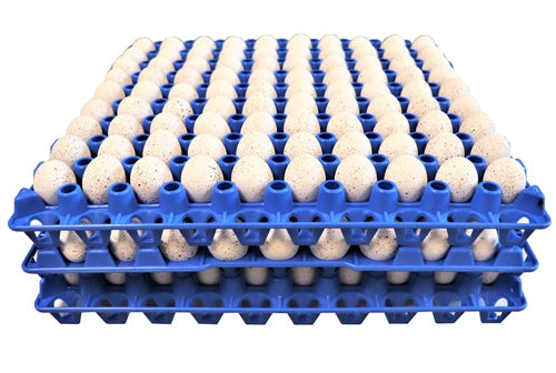 Load image into Gallery viewer, Rite Farm Products 90 Egg Capacity Quail, Pigeon, Dove, &amp; Bird Size Trays
