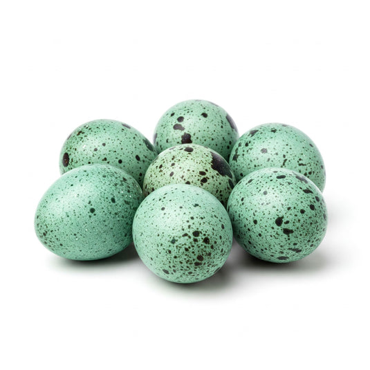 Celadon Coturnix Hatching Eggs
