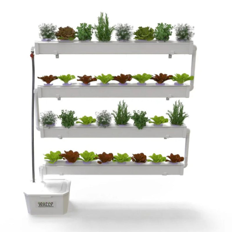 Load image into Gallery viewer, Wally 32 – Hydroponic Vertical System for Growing 32 Greens and Fruits
