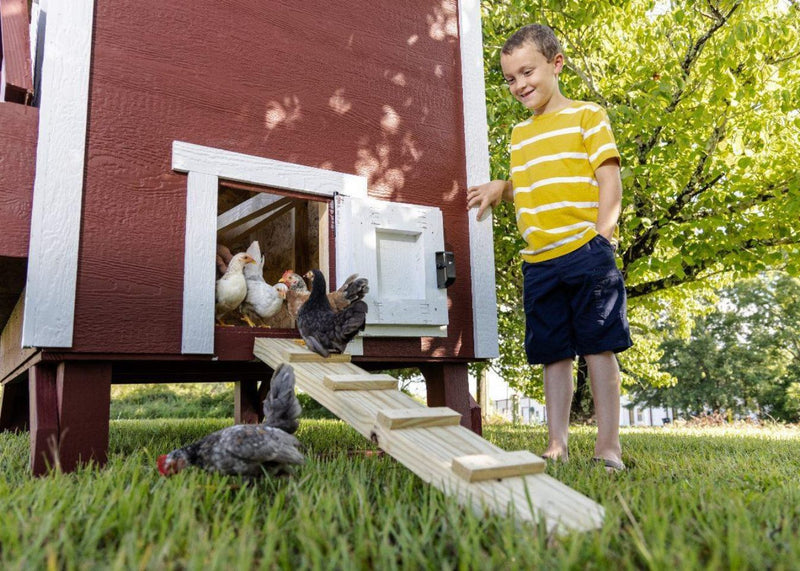 Load image into Gallery viewer, Large Chicken Coop - Up to 15 Chickens
