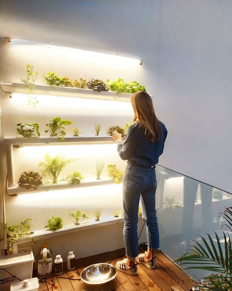 Load image into Gallery viewer, Wally 32 – Hydroponic Vertical System for Growing 32 Greens and Fruits
