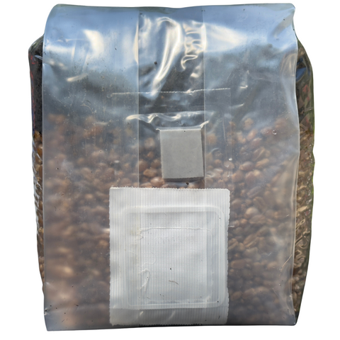 Mini all-in-one mushroom grow bag