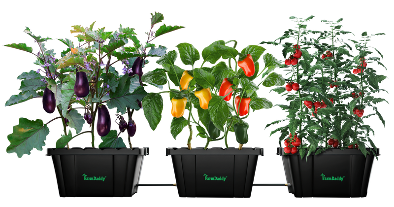 Load image into Gallery viewer, Self Watering Garden Box &amp; GrowBox Planter System

