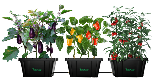 Self Watering Garden Box & GrowBox Planter System