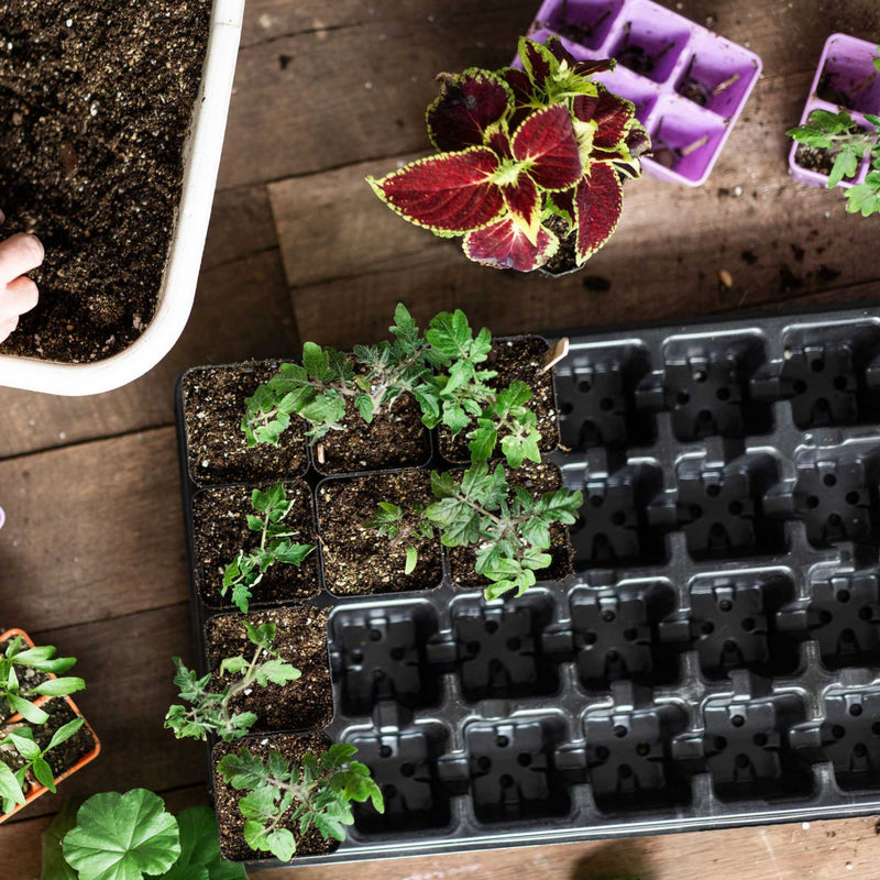 Load image into Gallery viewer, 32-Cell Reusable Plant Starter Trays with Inserts
