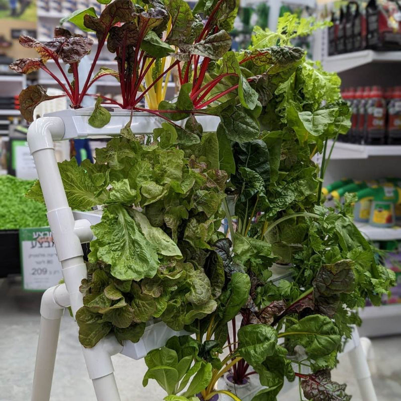 Load image into Gallery viewer, Homie 28 – Home Hydroponic Growing System
