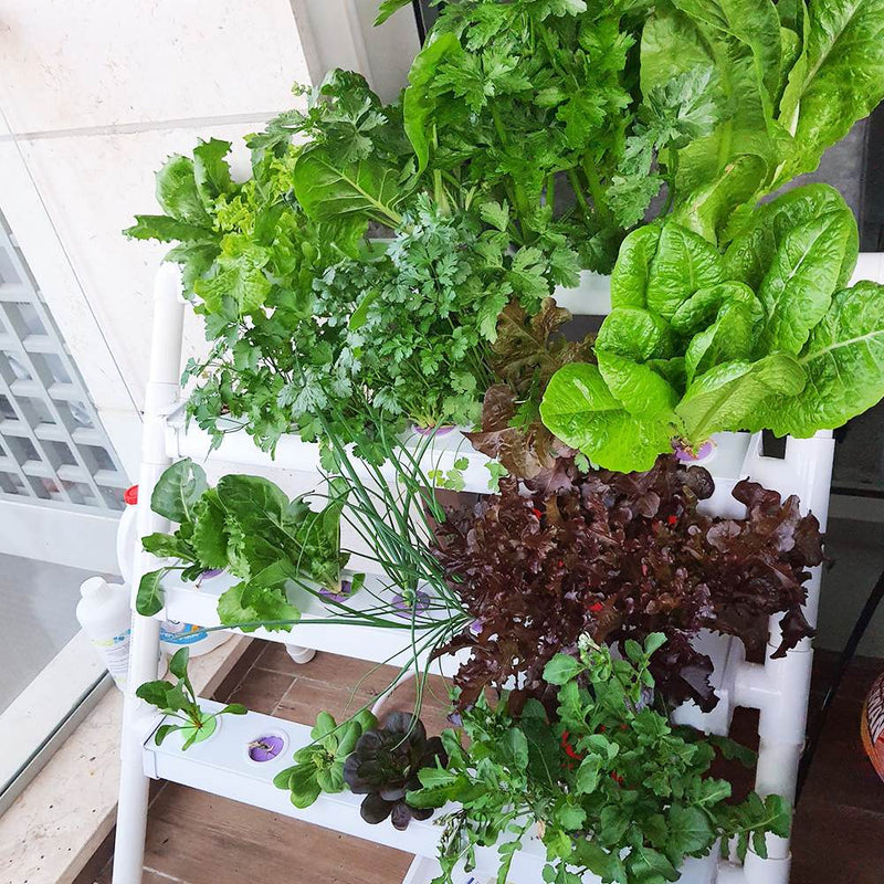 Load image into Gallery viewer, Homie 28 – Home Hydroponic Growing System
