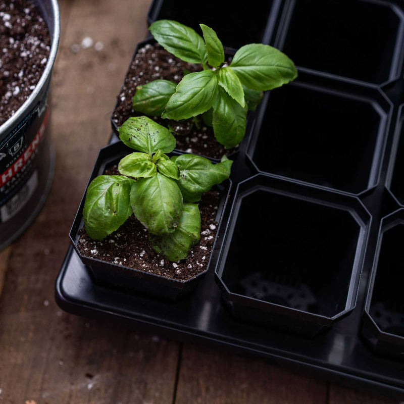 Load image into Gallery viewer, 3.3" Heavy Duty Seed Starting Pots

