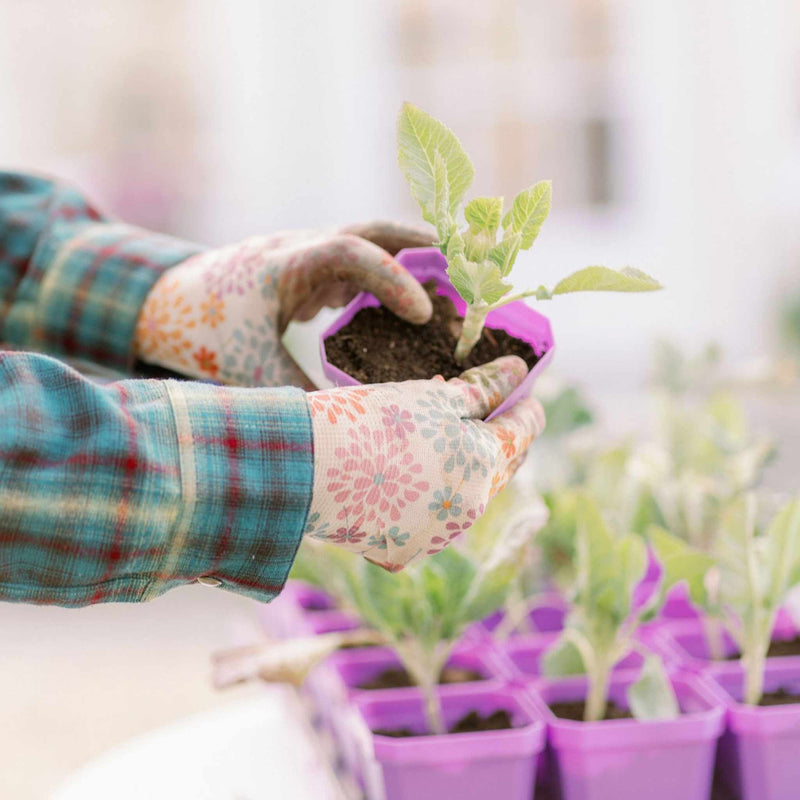 Load image into Gallery viewer, 3.3" Heavy Duty Seed Starting Pots

