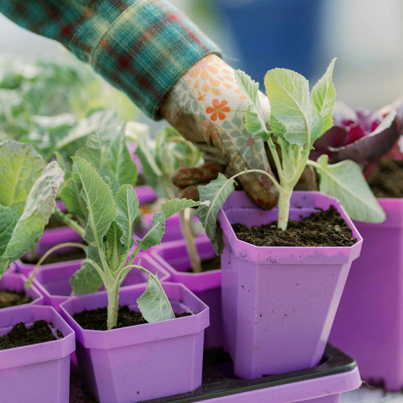 Load image into Gallery viewer, 3.3" Heavy Duty Seed Starting Pots with Inserts

