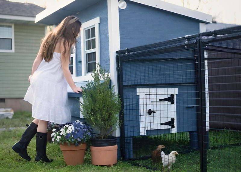Load image into Gallery viewer, Large Chicken Coop - Up to 15 Chickens
