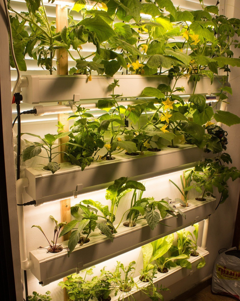 Load image into Gallery viewer, Wally 32 – Hydroponic Vertical System for Growing 32 Greens and Fruits
