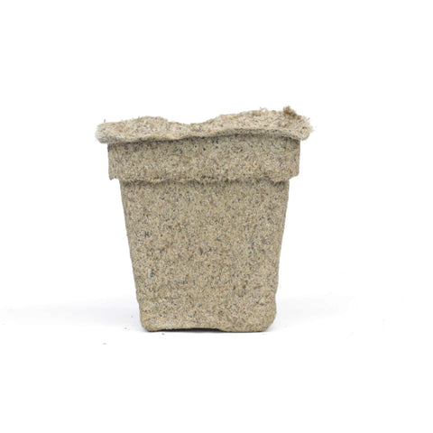 CowPots 