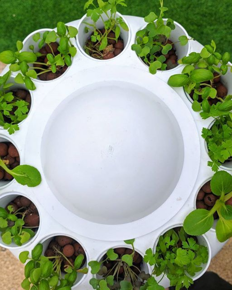 Load image into Gallery viewer, Airponic Fruit - Hydroponic Tower Garden System

