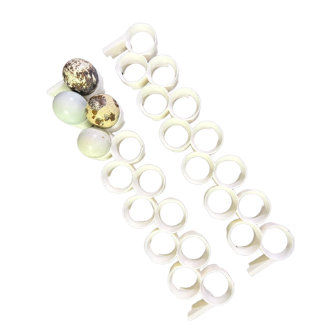 Jumbo Quail Egg Rails for Cimuka®/Hatching Time® Incubators (CT-Series), additional product view 2