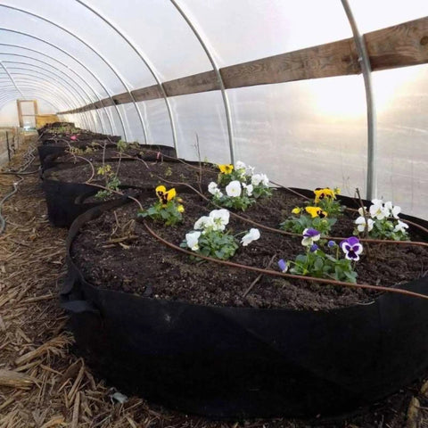 Grow Bags - 100 Gallon from Bootstrap Farmer at GrowTime Garden Supply