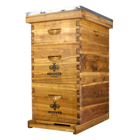 Hoover Hives 8-frame beehive kit, assembled, 2 deep 1 medium, front