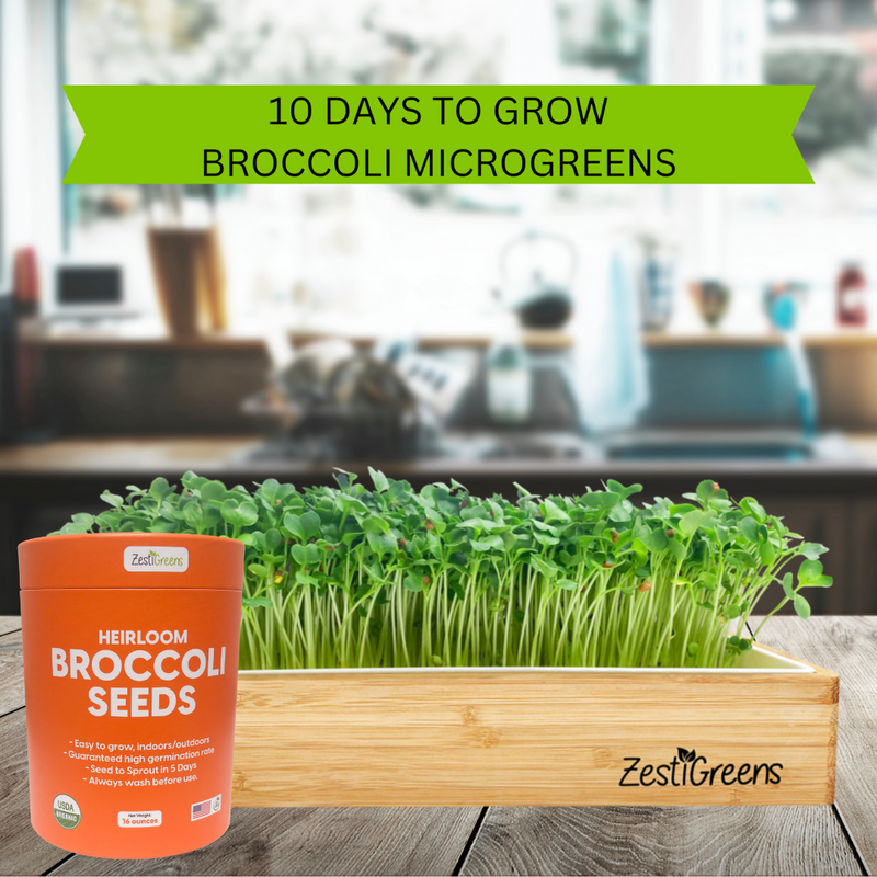 Load image into Gallery viewer, Organic Broccoli Seeds

