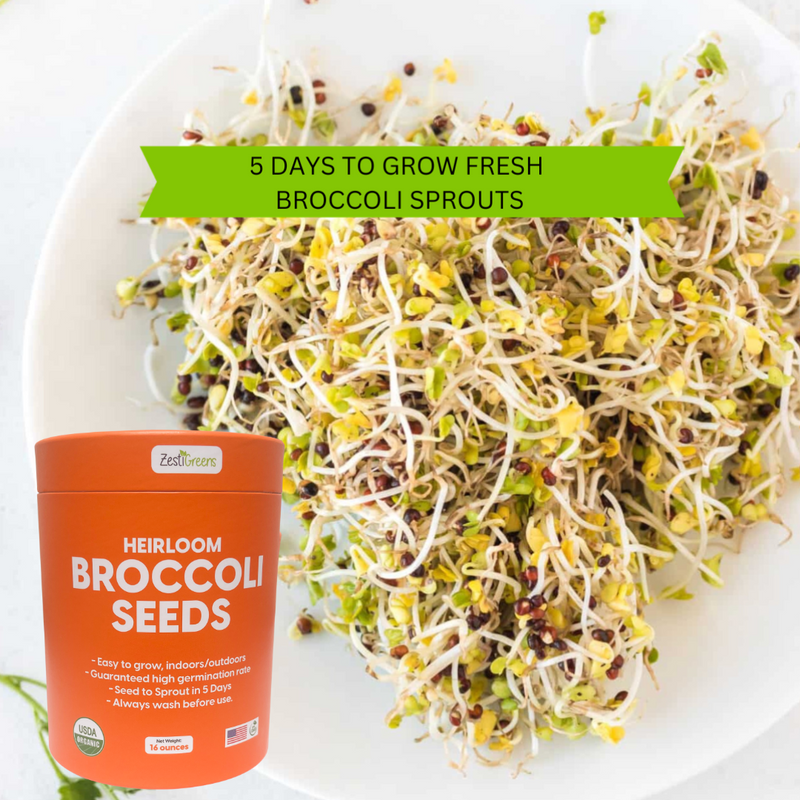 Load image into Gallery viewer, Organic Broccoli Seeds
