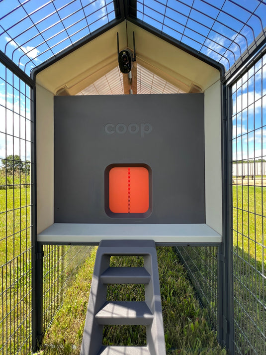 The Smart Coop